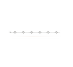 ¡®Dream¡¯CLOVER 6 MOTIF SILVER DIAMOND BRACELET